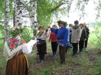 березы1